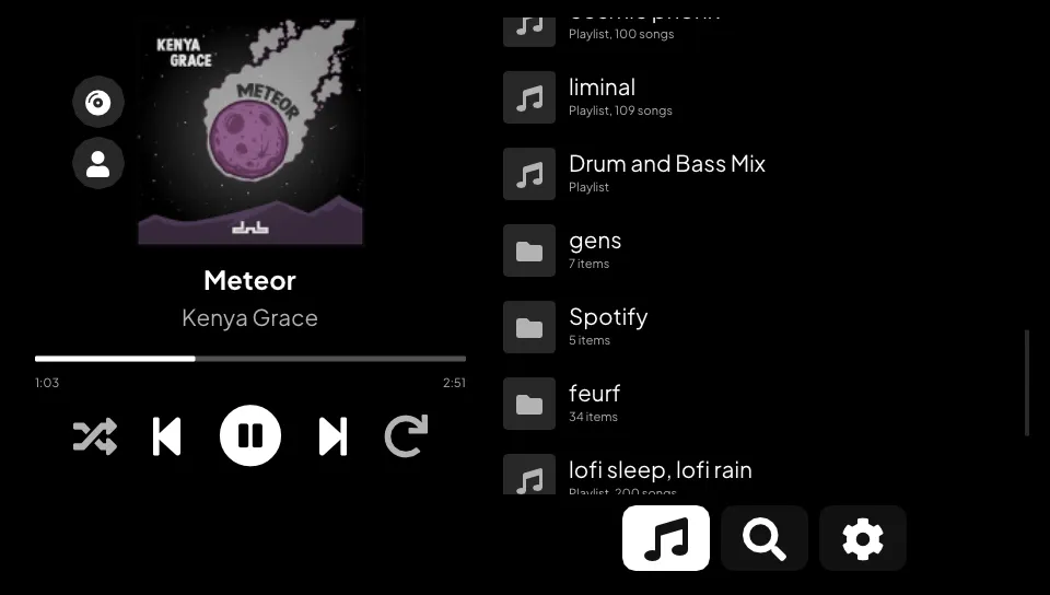 Playlists and folders in the library